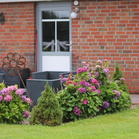 Balzwiekje Auszeit Auf Pferdehof In Ostfriesland Ihlow  Exteriér fotografie