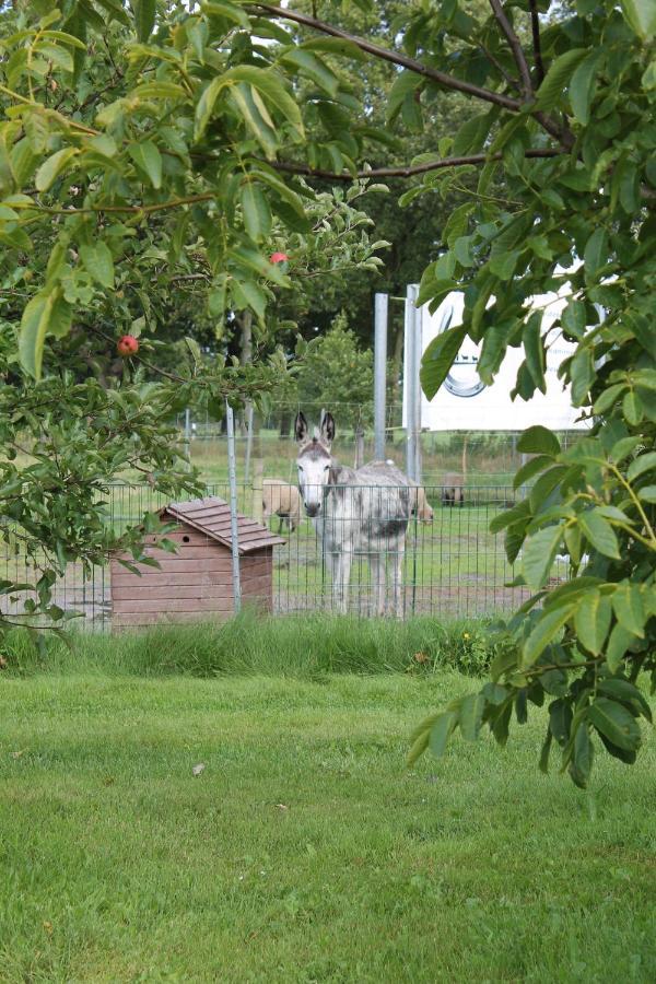 Balzwiekje Auszeit Auf Pferdehof In Ostfriesland Ihlow  Exteriér fotografie